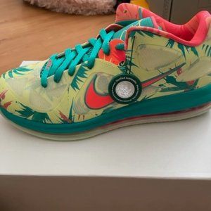 Nike LeBron 9 Low LeBronald Palmer (2022) (Size 10.5)